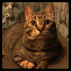 He’s starving (clearly) and needs offers...